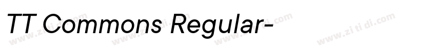 TT Commons Regular字体转换